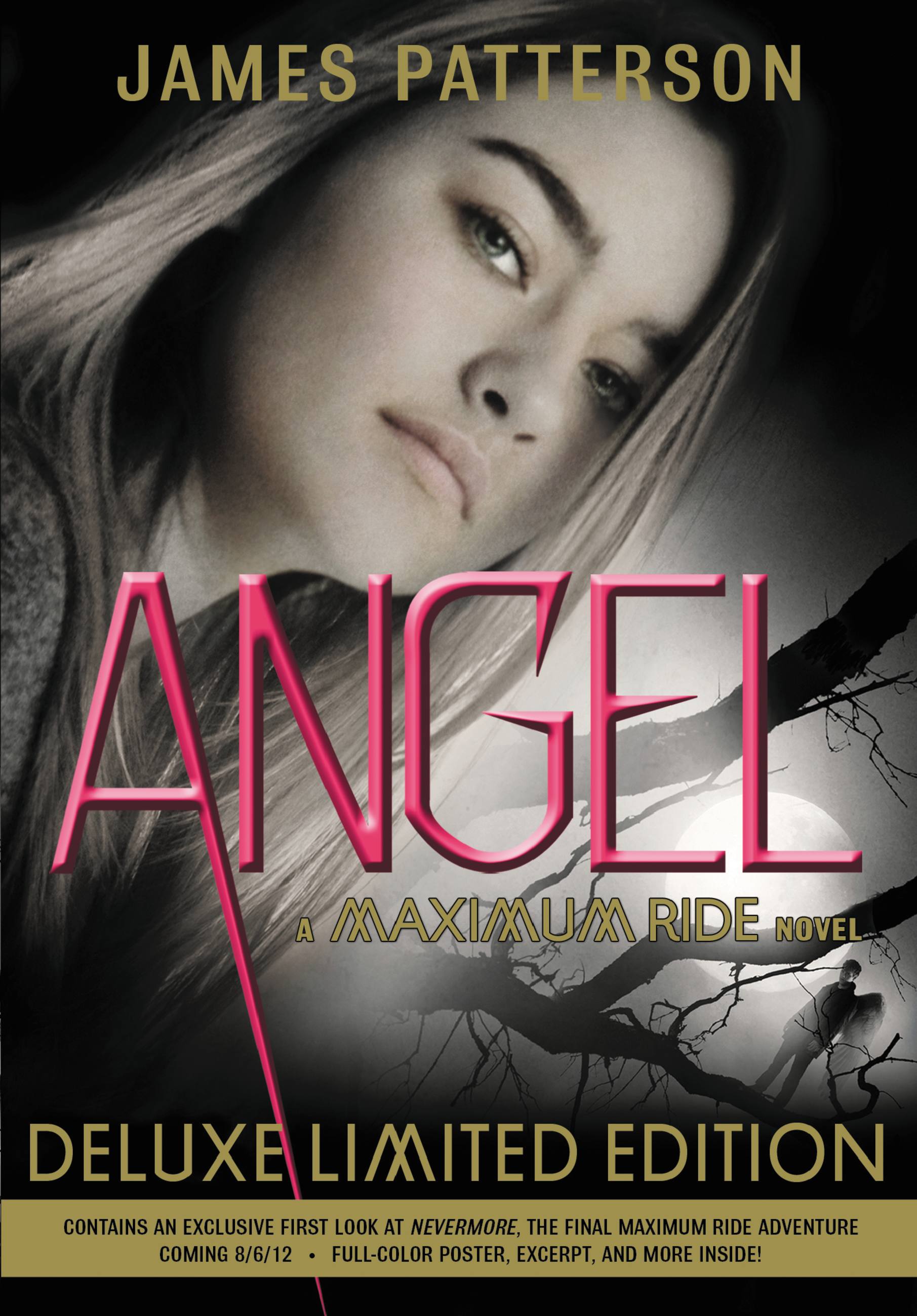 Cover of Angel