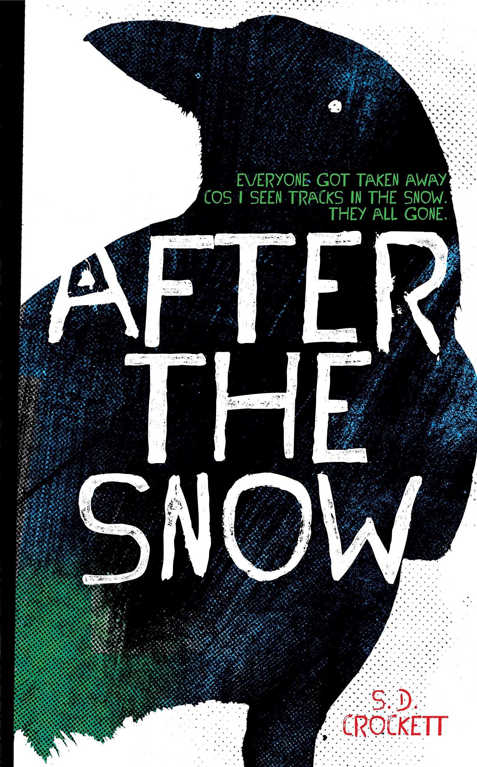 Cover of After the Snow
