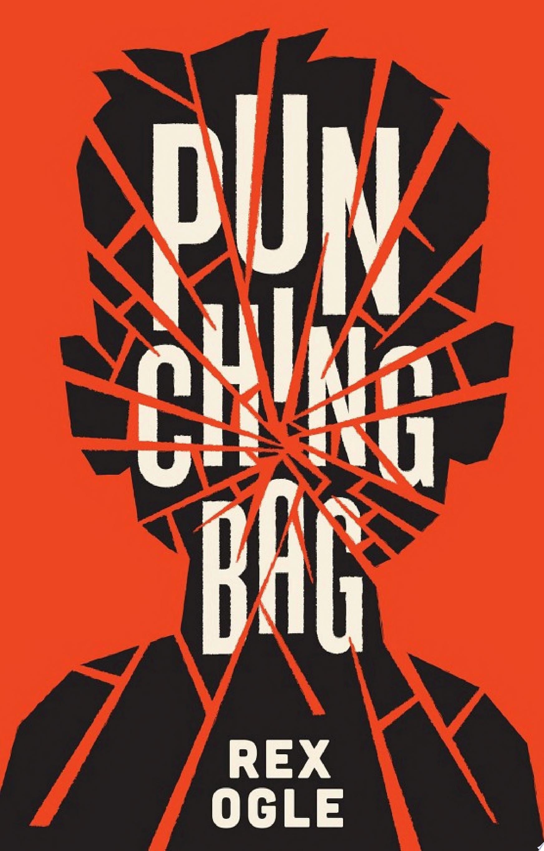 Cover of Punching Bag