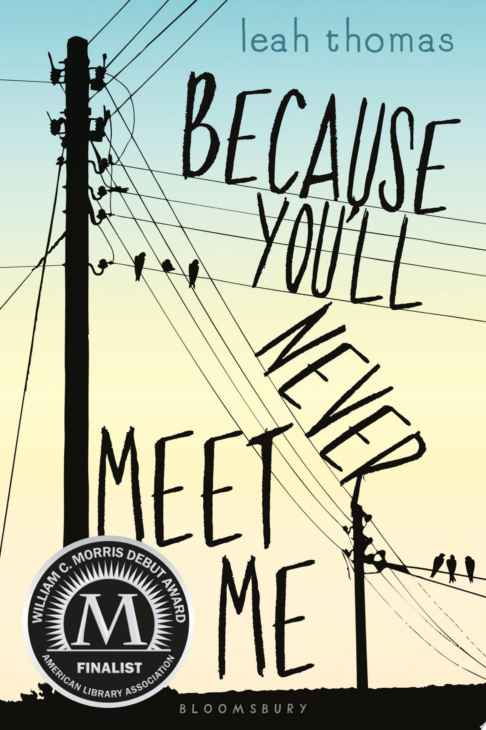 Cover of Because You’ll Never Meet Me
