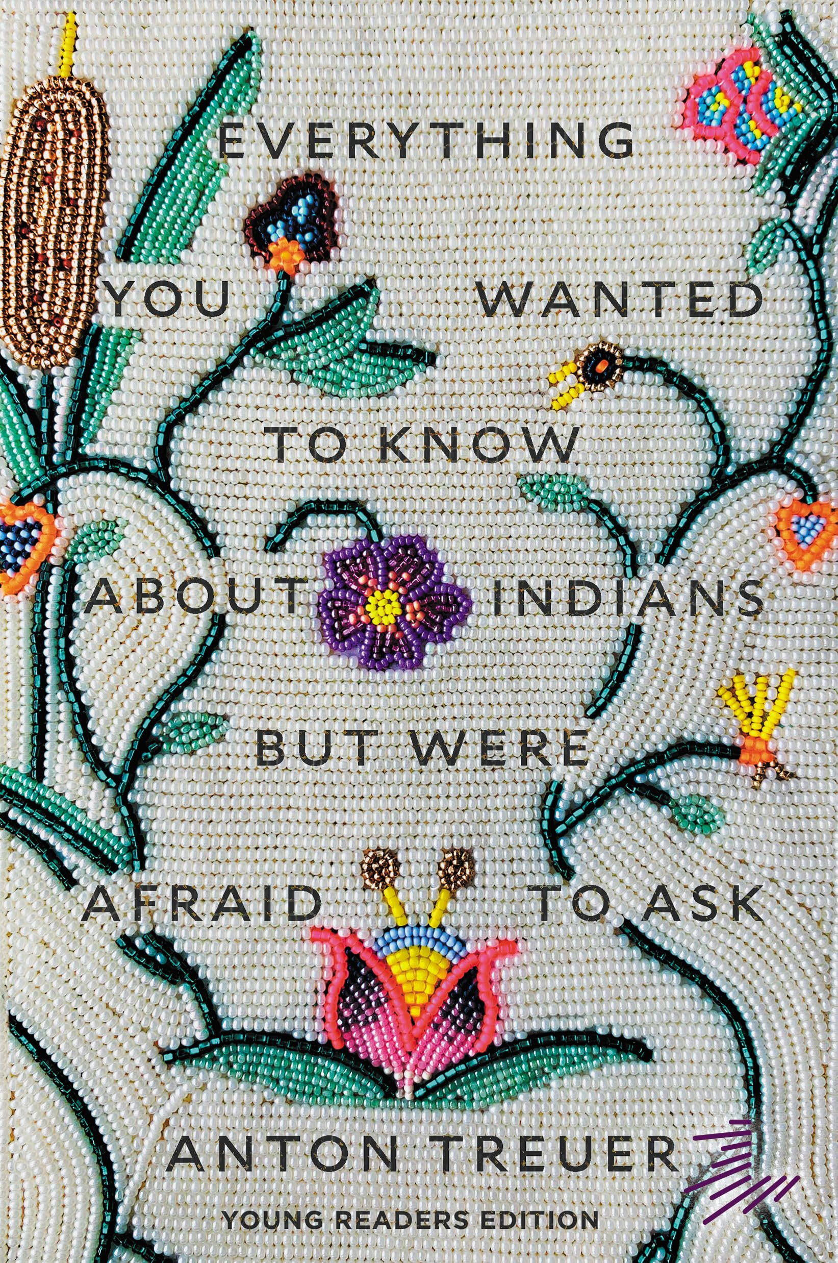 Cover of Everything You Wanted to Know about Indians But Were Afraid to Ask